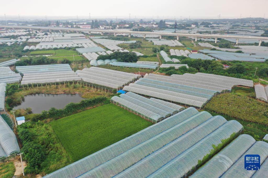 多盈在线登录
